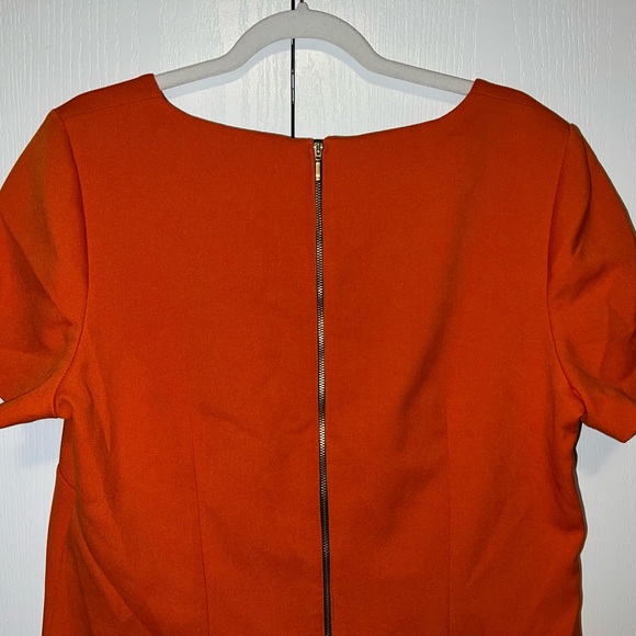 Long Tall Sally Back Zip Dress - Picture 10 of 12